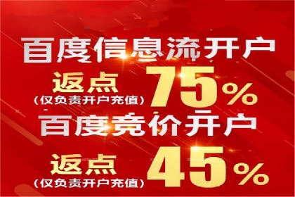 行业领先企业的SEM广告策略与效果分析